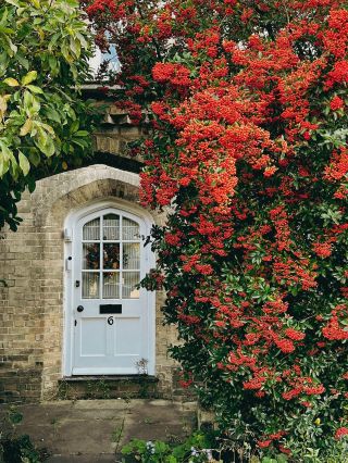 Jesenný Londýn je láska. 🦊🍂🪶